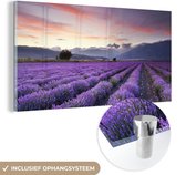 MuchoWow® Glasschilderij 80x40 cm - Schilderij acrylglas - Een prachtig lavendelveld bij zonsondergang - Foto op glas - Schilderijen