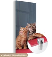 MuchoWow® Glasschilderij 20x40 cm - Schilderij acrylglas - Kittens - Blauw - Roze - Meisjes - Kinderen - Jongens - Kind - Foto op glas - Schilderijen