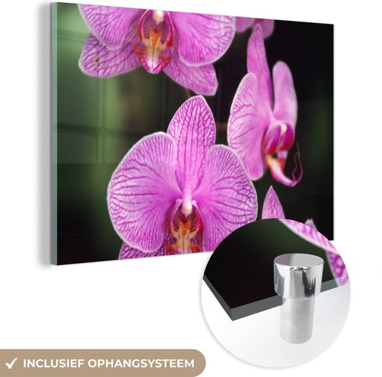 MuchoWow® Peinture sur verre 90x60 cm - Peinture sur verre acrylique - Orchidée rose - Photo sur verre - Peintures