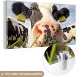 MuchoWow® Glasschilderij 40x20 cm - Schilderij acrylglas - Koe - Boerderij - Gras - Dieren - Foto op glas - Schilderijen