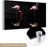 MuchoWow® Glasschilderij 120x60 cm - Schilderij acrylglas - Twee flamingo's staan in het water - Foto op glas - Schilderijen