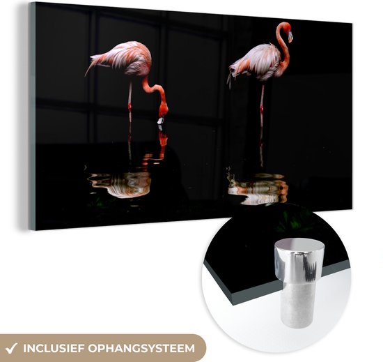 Peinture sur verre - Deux flamants roses debout dans l'eau - 120x60 cm - Peintures sur Verre Peintures - Photo sur Glas