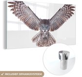 MuchoWow® Glasschilderij 120x60 cm - Schilderij acrylglas - Vliegende uil - Foto op glas - Schilderijen