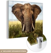 MuchoWow® Glasschilderij 50x50 cm - Schilderij acrylglas - Afrikaanse olifant vooraanzicht - Foto op glas - Schilderijen