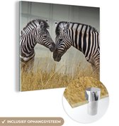 MuchoWow® Glasschilderij 90x90 cm - Schilderij acrylglas - Moeder zebra en haar jong - Foto op glas - Schilderijen