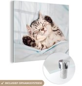 MuchoWow® Glasschilderij 50x50 cm - Schilderij acrylglas - Kitten - Bed - Poten - Meisjes - Kinderen - Jongens - Kind - Foto op glas - Schilderijen