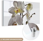 MuchoWow® Glasschilderij 40x20 cm - Schilderij acrylglas - Witte mot orchidee - Foto op glas - Schilderijen