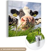 MuchoWow® Glasschilderij 20x20 cm - Schilderij acrylglas - Koe - Boerderij - Gras - Dieren - Foto op glas - Schilderijen