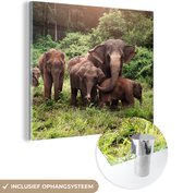 MuchoWow® Glasschilderij 50x50 cm - Schilderij acrylglas - Wilde olifanten - Foto op glas - Schilderijen