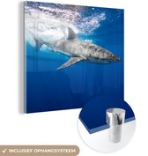 MuchoWow® Glasschilderij 90x90 cm - Schilderij acrylglas - Haai - Zee - Water - Foto op glas - Schilderijen