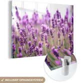MuchoWow® Glasschilderij 60x40 cm - Schilderij acrylglas - Close up van zonovergoten lavendelveld - Foto op glas - Schilderijen