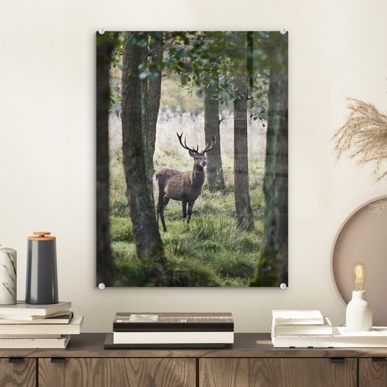 Peintures Plexiglas - Cerf - Herbe - Arbres - 30x40 cm - Peinture sur verre