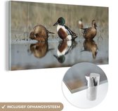 MuchoWow® Glasschilderij 120x60 cm - Schilderij acrylglas - Eenden - Water - Foto op glas - Schilderijen