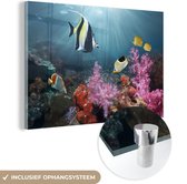 MuchoWow® Glasschilderij 120x80 cm - Schilderij acrylglas - Kleurig koraal - Foto op glas - Schilderijen