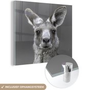 MuchoWow® Glasschilderij 90x90 cm - Schilderij acrylglas - Kangoeroe - Dieren - Zwart - Wit - Foto op glas - Schilderijen