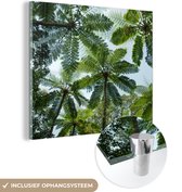 MuchoWow® Glasschilderij 90x90 cm - Schilderij acrylglas - Bomen en bladeren in jungle - Foto op glas - Schilderijen