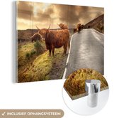 Highlanders écossais sur une route tranquille Plexiglas 120x80 cm - Tirage photo sur Glas (décoration murale en plexiglas)