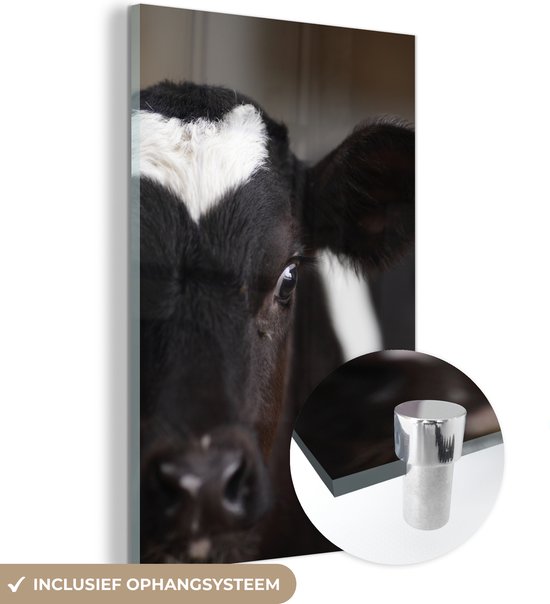 Veau vache frison nouveau-né Plexiglas 120x180 cm - Tirage photo sur Glas (décoration murale plexiglas) XXL / Groot format!