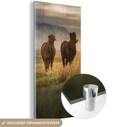 MuchoWow® Glasschilderij 60x120 cm - Schilderij acrylglas - Paarden - Lucht - Gras - Foto op glas - Schilderijen