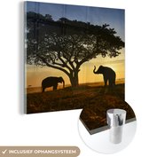 MuchoWow® Glasschilderij 90x90 cm - Schilderij acrylglas - Olifant - Zon - Afrika - Foto op glas - Schilderijen