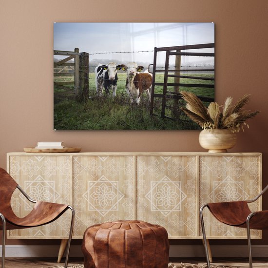 Deux jeunes vaches frisonnes derrière une clôture en fil de fer barbelé Plexiglas 90x60 cm - Tirage photo sur Glas (décoration murale en plexiglas)