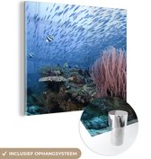MuchoWow® Glasschilderij 90x90 cm - Schilderij acrylglas - Rif met een school vissen - Foto op glas - Schilderijen