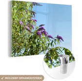 MuchoWow® Glasschilderij 150x100 cm - Schilderij acrylglas - Vlinderstruik tegen blauwe hemel - Foto op glas - Schilderijen