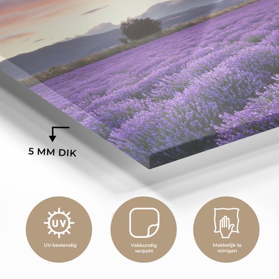 MuchoWow® Peinture sur verre 150x100 cm - Peinture sur verre acrylique - Coucher de soleil sur les lavandes - Photo sur verre - Peintures