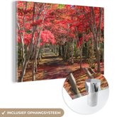 MuchoWow® Glasschilderij 120x80 cm - Schilderij acrylglas - Rode bomen in Japan - Foto op glas - Schilderijen