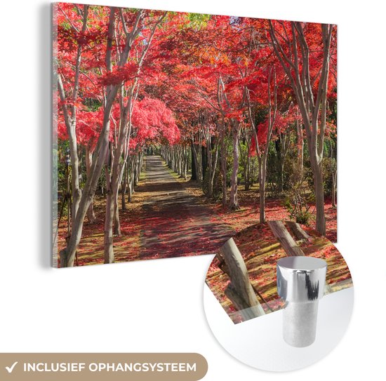 Glasschilderij - Rode bomen in Japan - Plexiglas Schilderijen