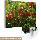 MuchoWow® Glasschilderij 90x60 cm - Schilderij acrylglas - currant bush - Foto op glas - Schilderijen