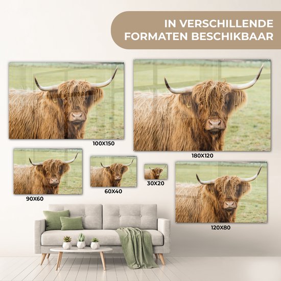 MuchoWow® Glasschilderij 180x120 cm - Schilderij acrylglas - Schotse hooglander - Hoorn - Gras - Foto op glas - Schilderijen