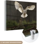 MuchoWow® Glasschilderij 120x90 cm - Schilderij acrylglas - Kerkuil stijgt op - Foto op glas - Schilderijen