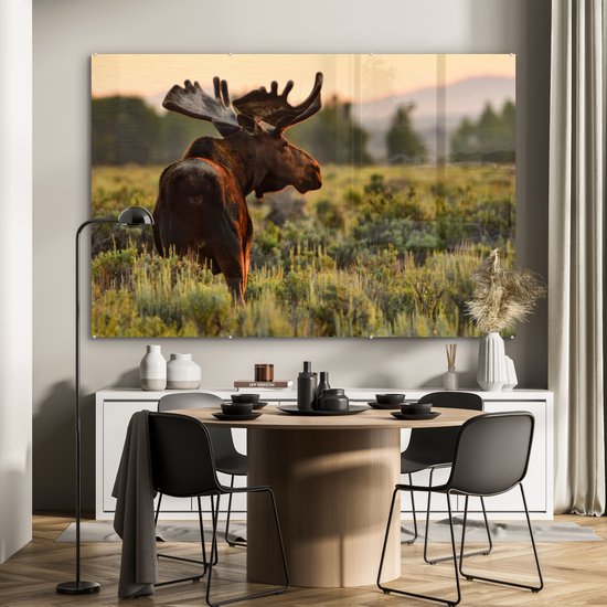 Peinture sur Verre - Orignal sur une pelouse ouverte - 150x100 cm - Peintures sur Verre Peintures - Photo sur Glas