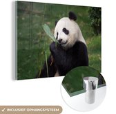 MuchoWow® Glasschilderij 60x40 cm - Schilderij acrylglas - Pandabeer - Wilde dieren - Bladeren - Foto op glas - Schilderijen