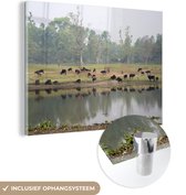 MuchoWow® Glasschilderij 40x30 cm - Schilderij acrylglas - Grazende dieren bij het water in het Nationaal park Chitwan in Nepal - Foto op glas - Schilderijen