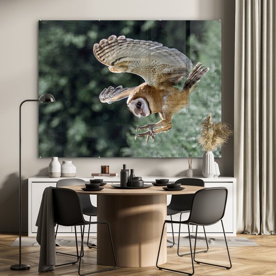 MuchoWow® Peinture sur Verre - Hibou Attaquant - 160x120 cm - Peintures sur Verre Acrylique - Photo sur Glas
