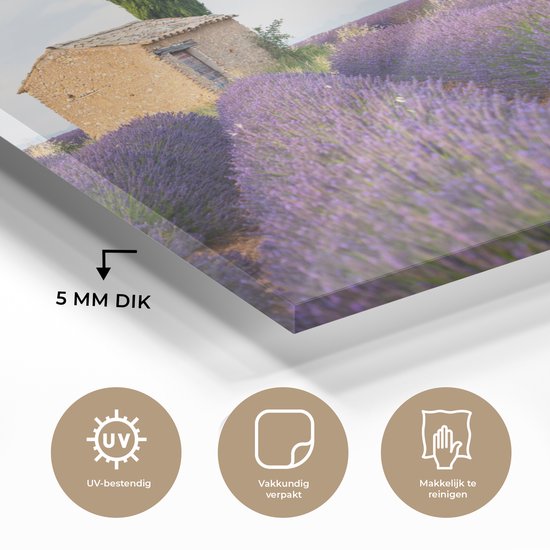 Peinture sur verre - Champ de lavande avec une maison en Provence - 150x100 cm - Peintures sur Verre Peintures - Photo sur Glas