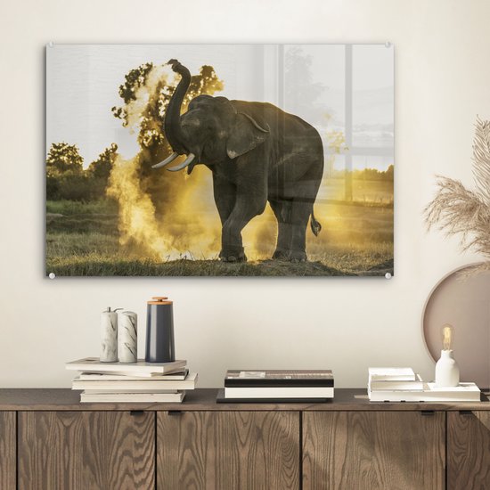 Peinture sur Verre - Éléphant - Soleil - Animaux - 60x40 cm - Peintures sur Verre Peintures - Photo sur Glas