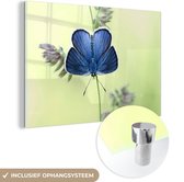 MuchoWow® Glasschilderij 60x40 cm - Schilderij acrylglas - Blauwe vlinder - Foto op glas - Schilderijen