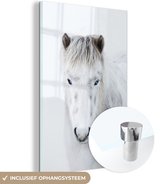 MuchoWow® Glasschilderij 100x150 cm - Schilderij acrylglas - Paard - Sneeuw - Wit - Foto op glas - Schilderijen