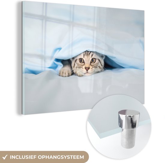 MuchoWow® Glasschilderij 150x100 cm - Schilderij acrylglas - Een kitten onder een deken - Foto op glas - Schilderijen