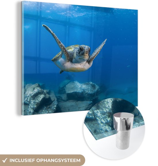 MuchoWow® Glasschilderij 120x90 cm - Schilderij acrylglas - Een zwemmende groene schildpad in het blauwe water - Foto op glas - Schilderijen