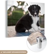 MuchoWow® Glasschilderij 40x30 cm - Schilderij acrylglas - Border collie pup zittend op een tafel - Foto op glas - Schilderijen