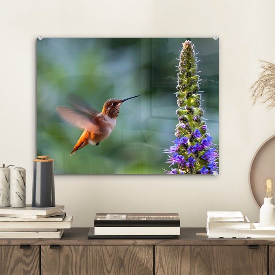 MuchoWow® Peinture sur verre - Vogel - Colibri - Bloem - 40x30 cm - Peintures sur verre acrylique - Photo sur Glas