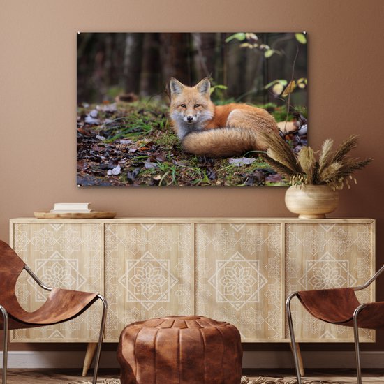 MuchoWow® Glasschilderij 90x60 cm - Schilderij acrylglas - Vos - Bos - Dier - Foto op glas - Schilderijen