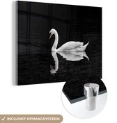 MuchoWow® Glasschilderij 40x30 cm - Schilderij acrylglas - Drijvende zwaan op een zwarte achtergrond - Foto op glas - Schilderijen