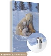 MuchoWow® Glasschilderij 80x120 cm - Schilderij acrylglas - IJsberen - Sneeuw - Wit - Foto op glas - Schilderijen