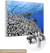 MuchoWow® Glasschilderij 120x90 cm - Schilderij acrylglas - Onderwater rif met vissen - Foto op glas - Schilderijen