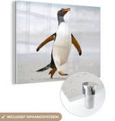MuchoWow® Glasschilderij 40x30 cm - Schilderij acrylglas - Een pinguïn rent over het strand - Foto op glas - Schilderijen